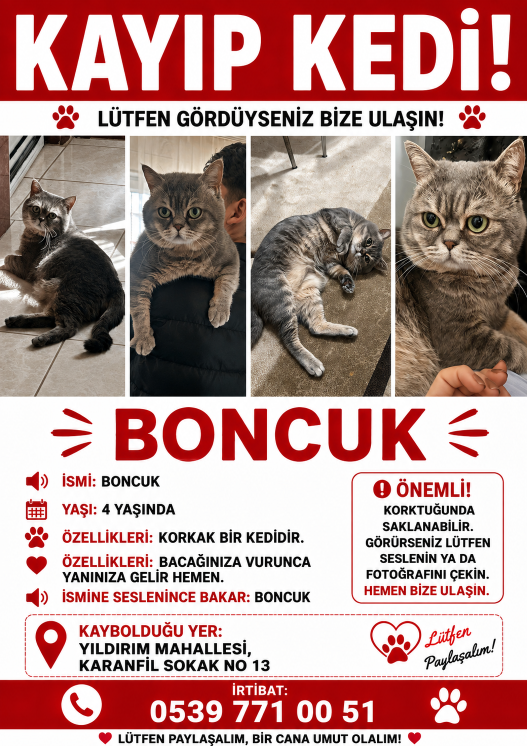 Kayıp Kedi — Boncuk (Bayrampaşa, İstanbul)