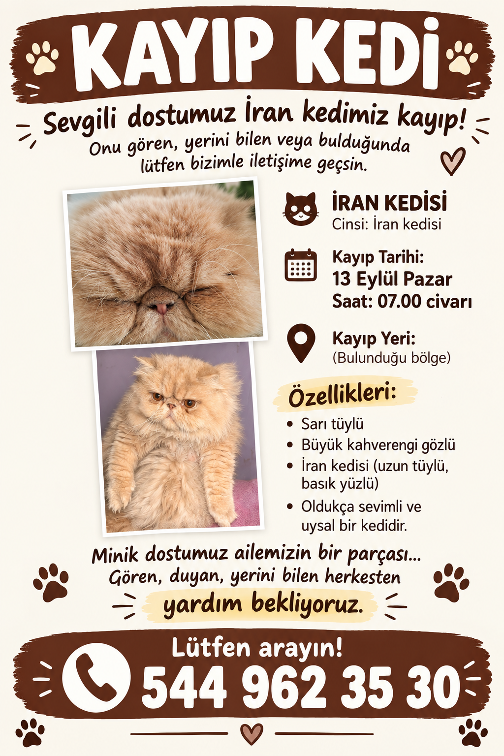 Kayıp Kedi — Bali (Kocasinan, Kayseri)